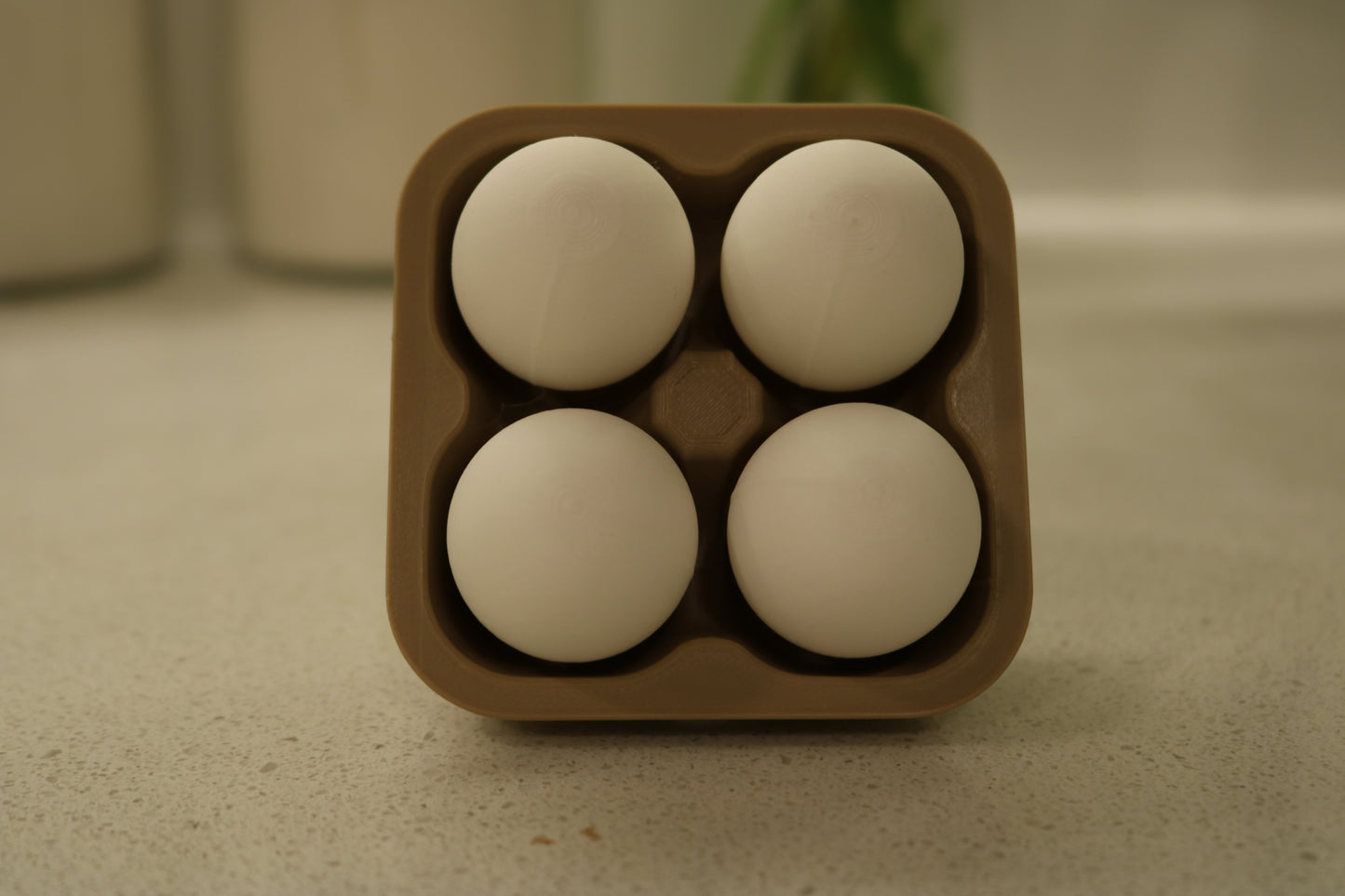 Egg Carton Clicker Fidget Toy
