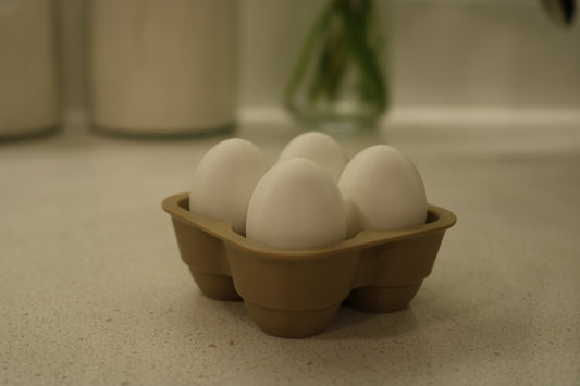 Egg Carton Clicker Fidget Toy
